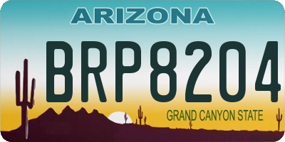 AZ license plate BRP8204