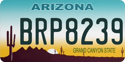 AZ license plate BRP8239