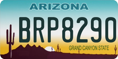 AZ license plate BRP8290