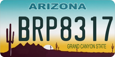 AZ license plate BRP8317