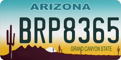 AZ license plate BRP8365