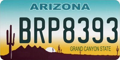 AZ license plate BRP8393