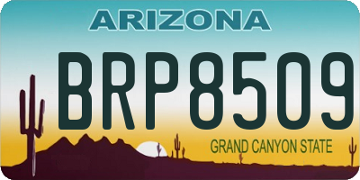 AZ license plate BRP8509