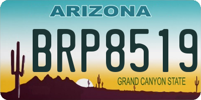 AZ license plate BRP8519