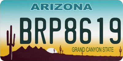 AZ license plate BRP8619