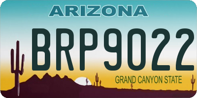 AZ license plate BRP9022