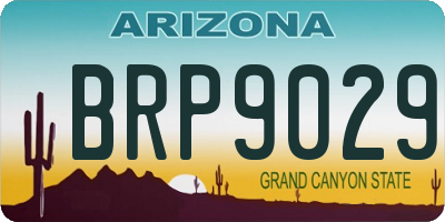 AZ license plate BRP9029