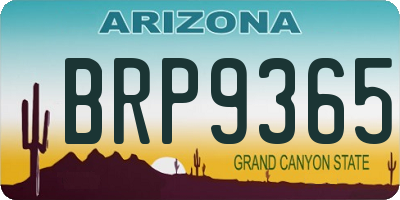 AZ license plate BRP9365