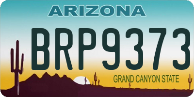 AZ license plate BRP9373