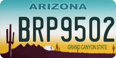 AZ license plate BRP9502