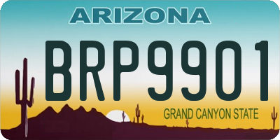 AZ license plate BRP9901