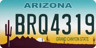 AZ license plate BRQ4319