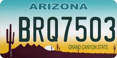 AZ license plate BRQ7503