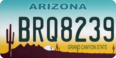 AZ license plate BRQ8239