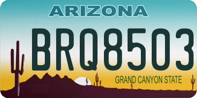 AZ license plate BRQ8503