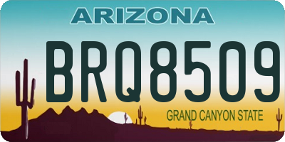 AZ license plate BRQ8509