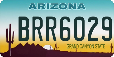 AZ license plate BRR6029