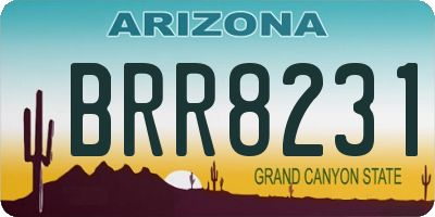 AZ license plate BRR8231