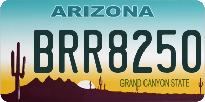 AZ license plate BRR8250