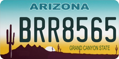 AZ license plate BRR8565