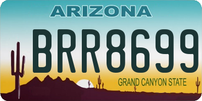 AZ license plate BRR8699