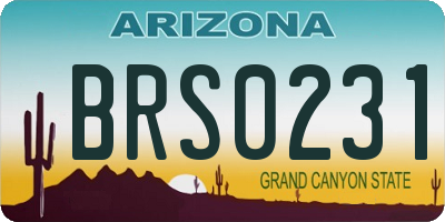 AZ license plate BRS0231