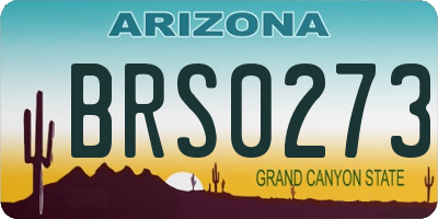 AZ license plate BRS0273