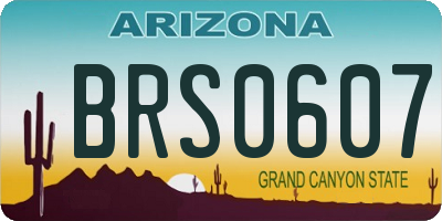 AZ license plate BRS0607