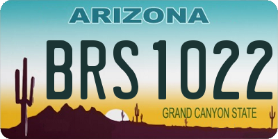 AZ license plate BRS1022