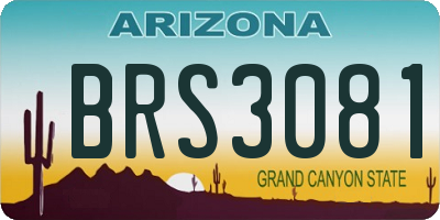AZ license plate BRS3081