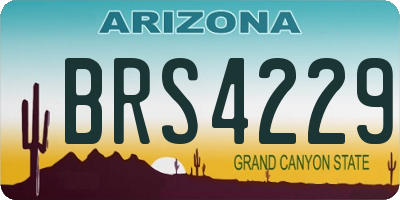 AZ license plate BRS4229