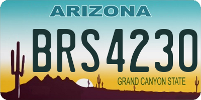 AZ license plate BRS4230