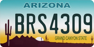 AZ license plate BRS4309