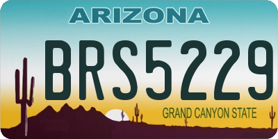 AZ license plate BRS5229