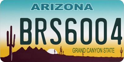 AZ license plate BRS6004