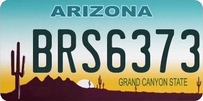 AZ license plate BRS6373