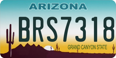 AZ license plate BRS7318
