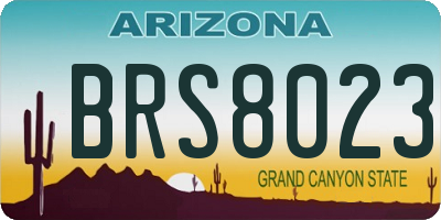 AZ license plate BRS8023