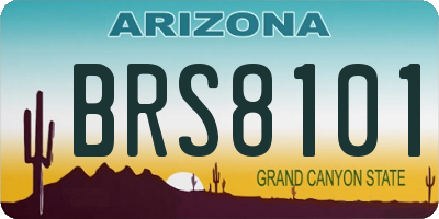 AZ license plate BRS8101