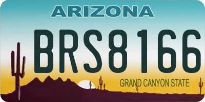AZ license plate BRS8166