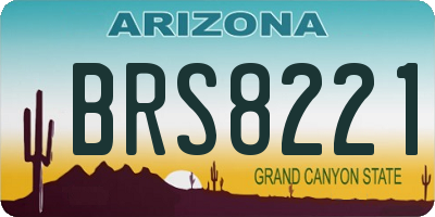 AZ license plate BRS8221