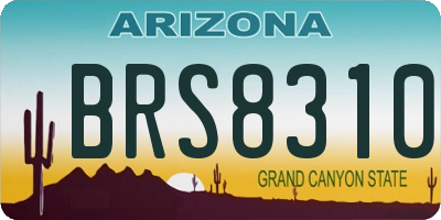 AZ license plate BRS8310