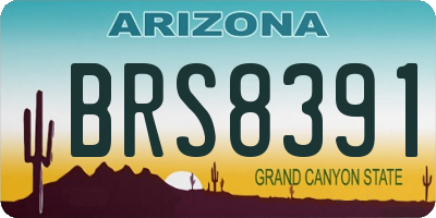 AZ license plate BRS8391