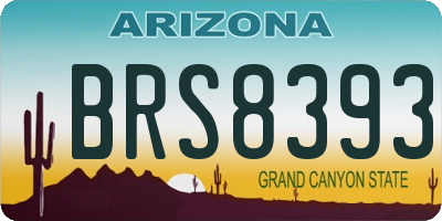 AZ license plate BRS8393