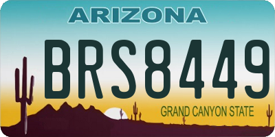 AZ license plate BRS8449
