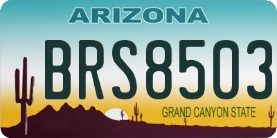AZ license plate BRS8503