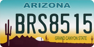 AZ license plate BRS8515