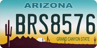 AZ license plate BRS8576