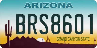 AZ license plate BRS8601