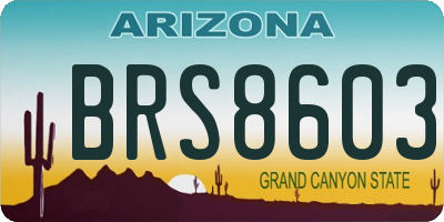 AZ license plate BRS8603